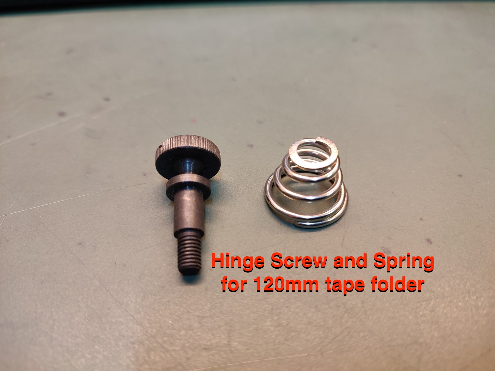 hinge screw and spring